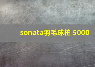 sonata羽毛球拍 5000